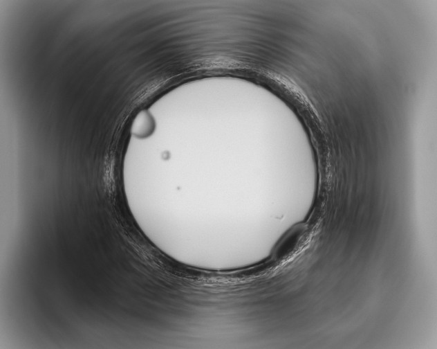 X0000095960873200802081315