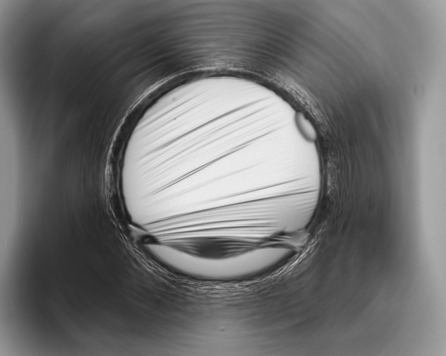 X0000095960876200802081315