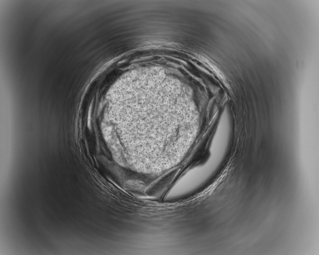 X0000095960877200802081315