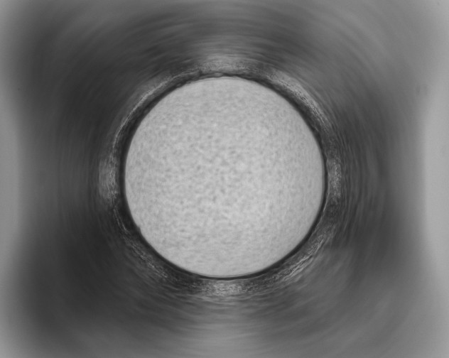 X0000095960878200802081315