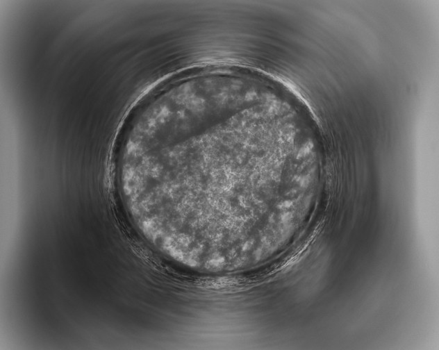 X0000095960879200802081315