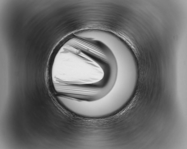 X0000095960880200802081315