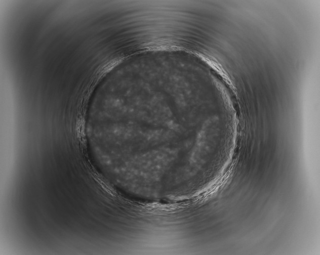 X0000095960881200802081315