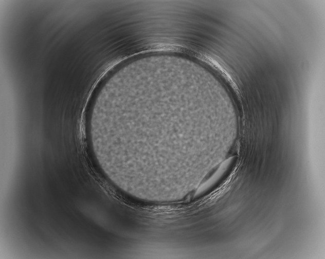 X0000095960883200802081315