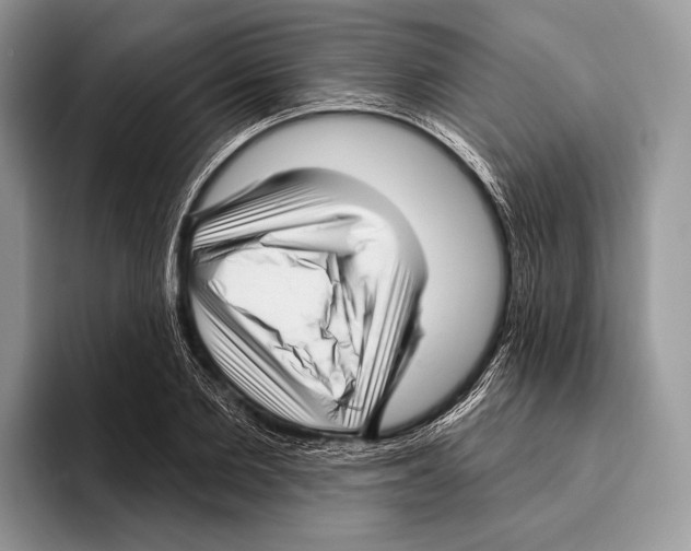 X0000095960885200802081315
