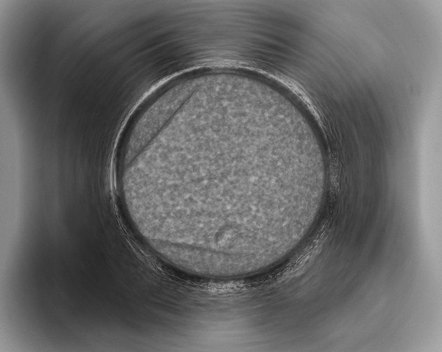 X0000095960887200802081315