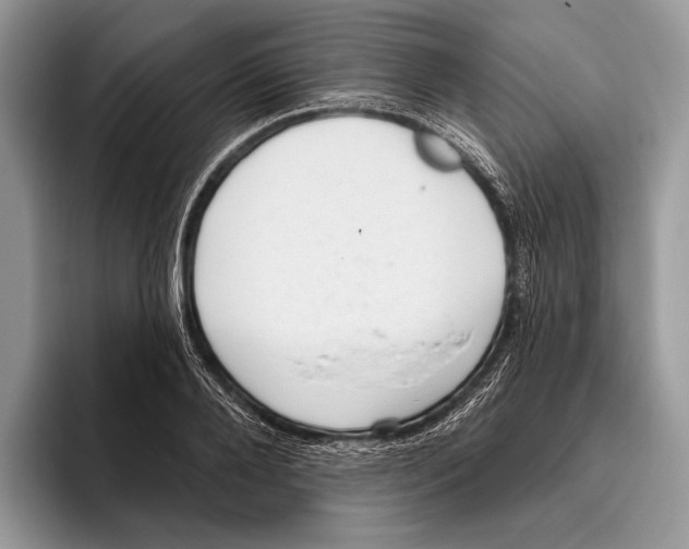 X0000095960888200802081315