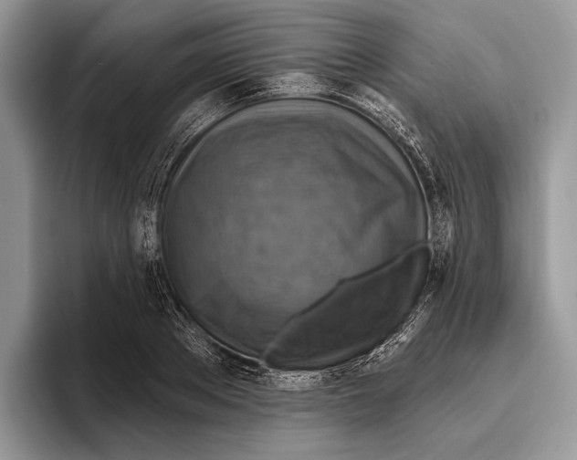 X0000095960889200802081315