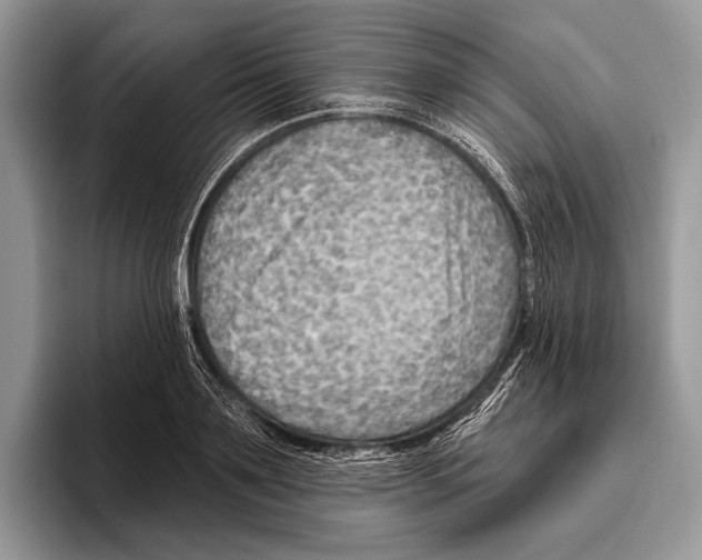 X0000095960891200802081315