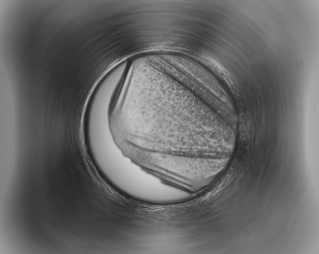 X0000095960892200802081315