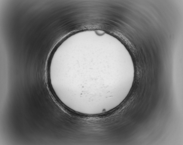 X0000095960894200802081315