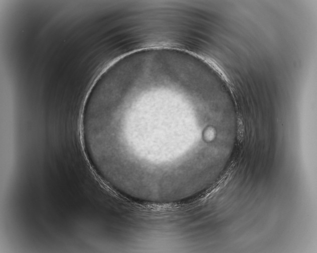 X0000095960895200802081315
