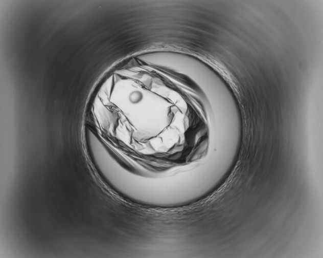 X0000095960896200802081315