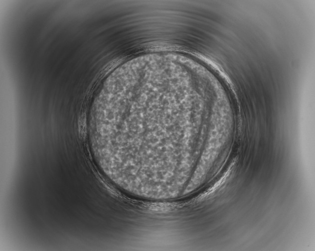 X0000095960897200802081315