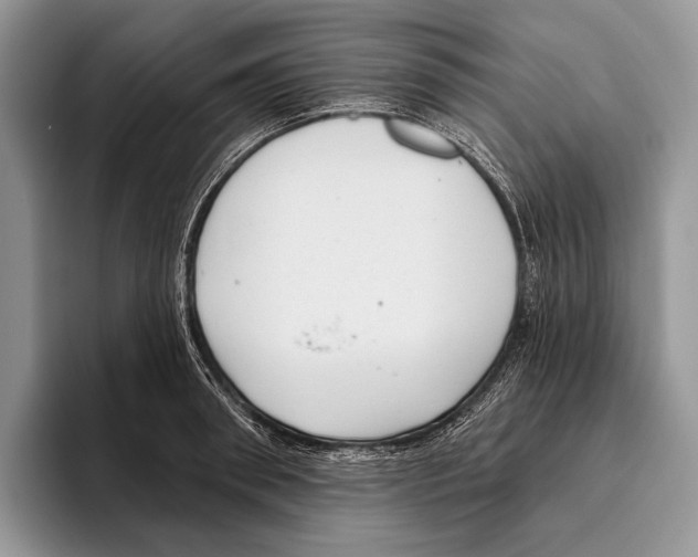 X0000095960898200802081315