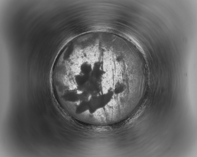 X0000095960899200802081315
