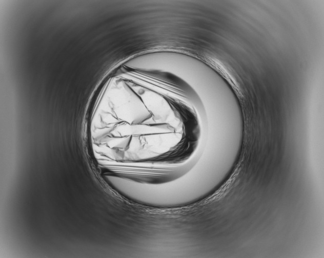X0000095960900200802081315