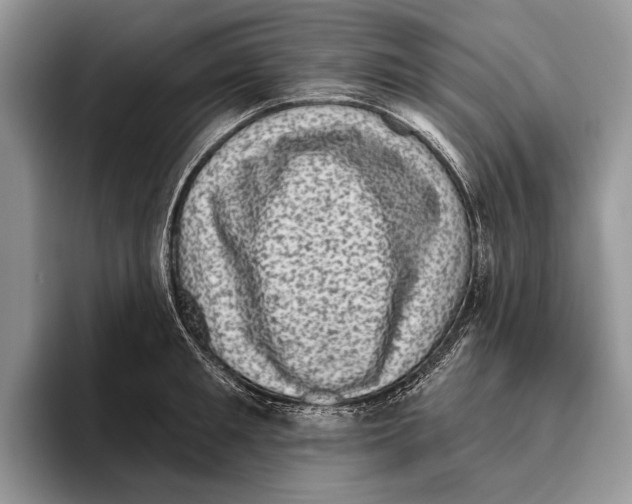 X0000095960901200802081315