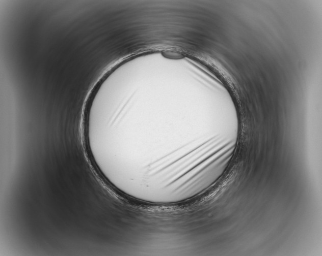 X0000095960902200802081315