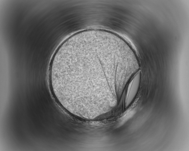 X0000095960903200802081315