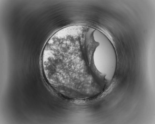 X0000095960907200802081315