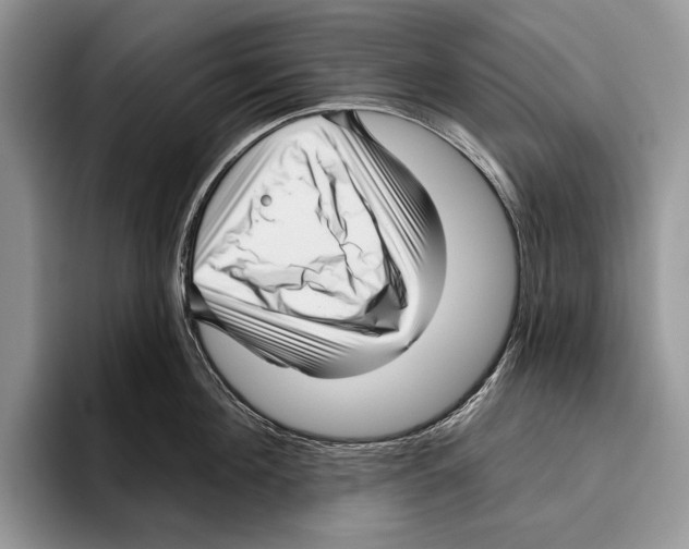 X0000095960908200802081315
