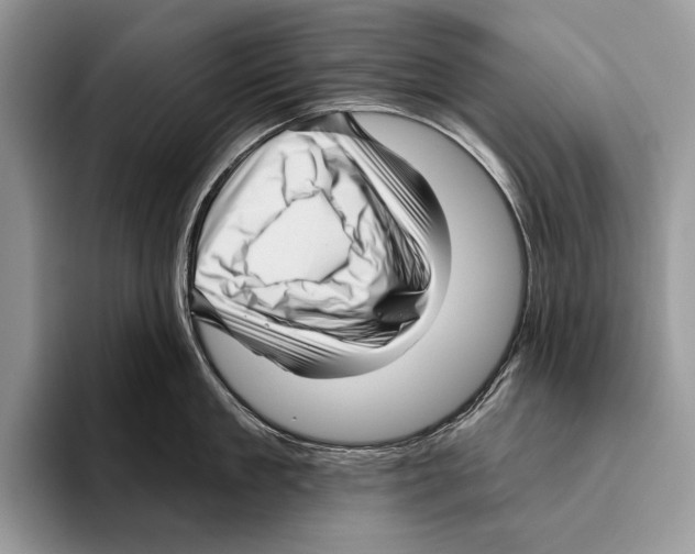 X0000095960909200802081315