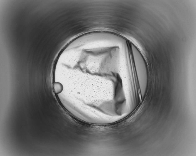 X0000095960910200802081315
