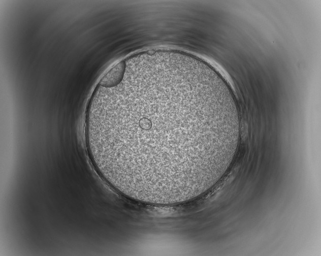 X0000095960911200802081315