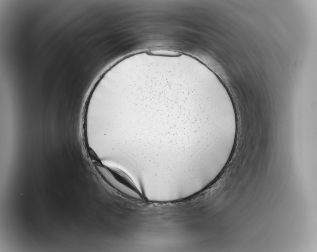 X0000095960912200802081315