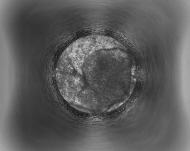 X0000095960913200802081314