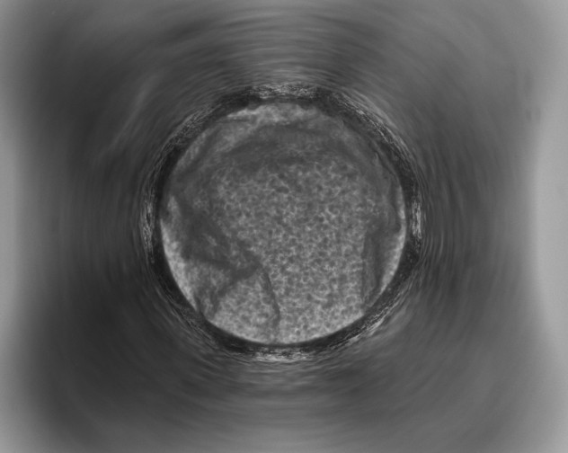 X0000095960915200802081314