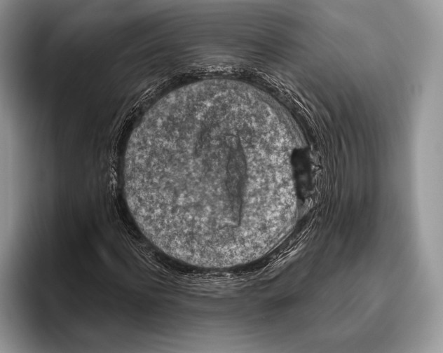 X0000095960916200802081314