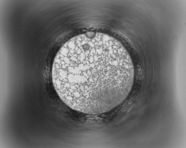 X0000095960918200802081314