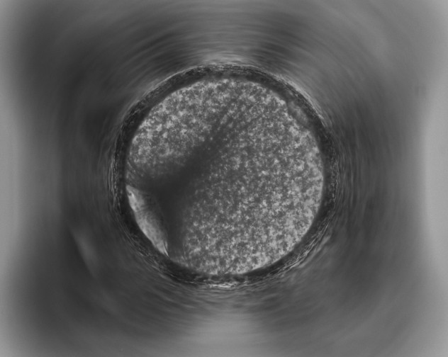 X0000095960919200802081314