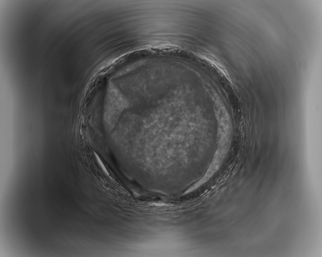 X0000095960920200802081314