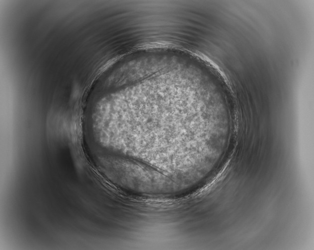 X0000095960921200802081314