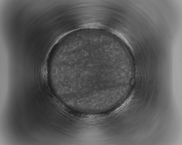 X0000095960923200802081314