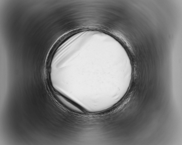 X0000095960924200802081314