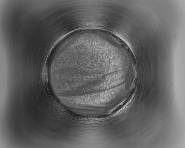 X0000095960925200802081314