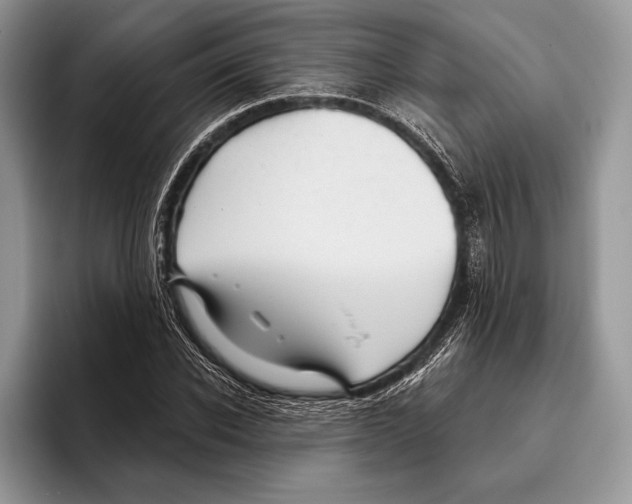 X0000095960926200802081314