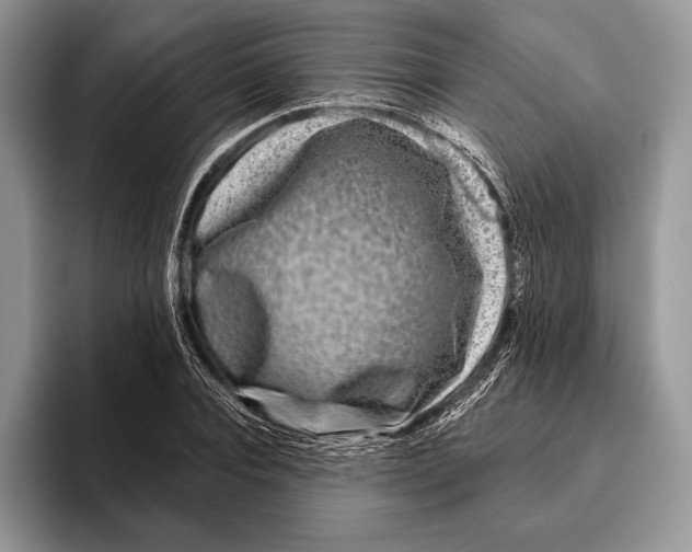 X0000095960928200802081314