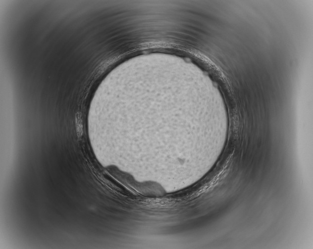 X0000095960929200802081314