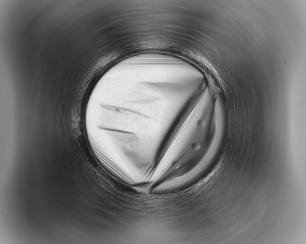 X0000095960930200802081314