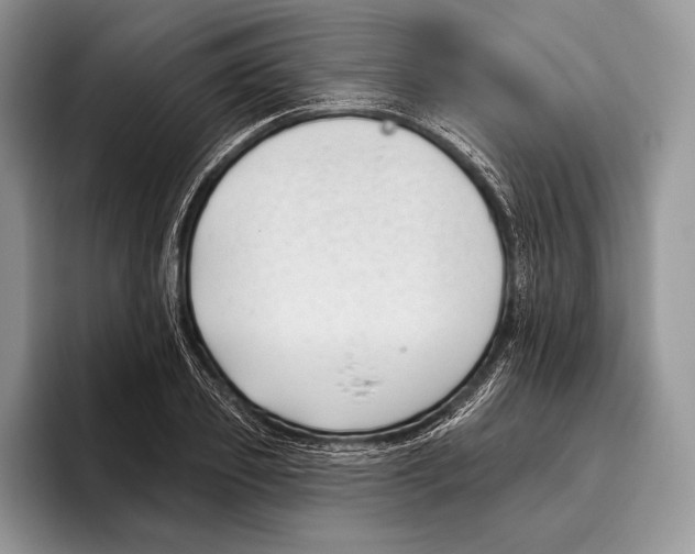 X0000095960933200802081314