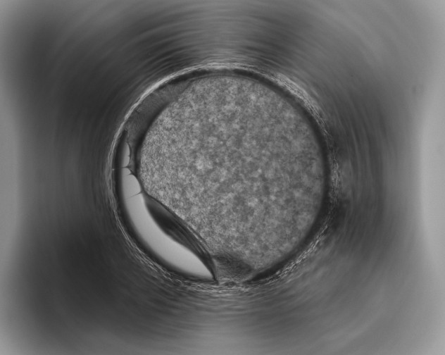 X0000095960934200802081314