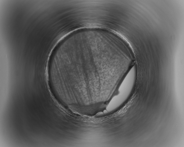 X0000095960935200802081314