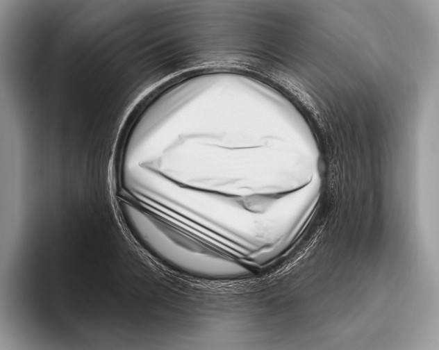 X0000095960936200802081314