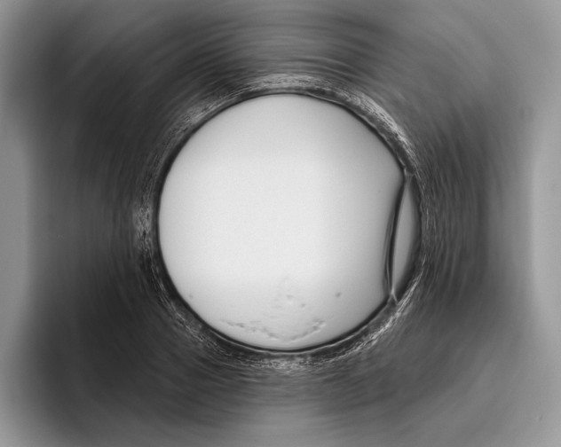 X0000095960937200802081314