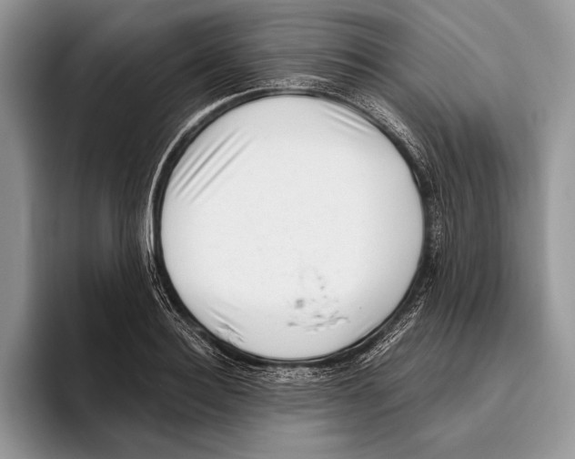 X0000095960940200802081314